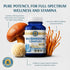 Immune 1,400 120 Count Vykee Nutrition Mushroom Complex Lions Mane, Reishi & Cordyceps | Brain Supplement for Memory