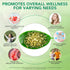 vopxccvy Aged Garlic Extract Softgels