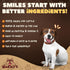 Woofley's 12 Inch (8 Count) Beef Collagen Sticks for Dogs Bully Stick Rawhide Alternative Dog Chews No Hide Bones