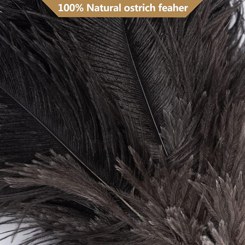 Ostrich Feather Duster, 16 Inch Black Genuine Ostrich Feathers with Wood Handle, Eco-Friendly Cleaning Duster