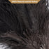 Ostrich Feather Duster, 16 Inch Black Genuine Ostrich Feathers with Wood Handle, Eco-Friendly Cleaning Duster