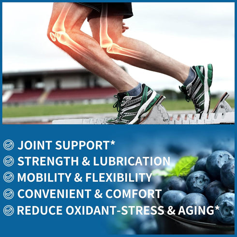 Glucosamine Chondroitin Gummies - Extra Strength with MSM & Elderberry for Joint Support, 2 Pack for Adults