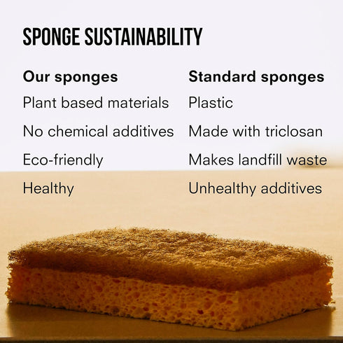 Public Goods Walnut Scrubber Sponge | Natural, Plant-Based Cleaning & Scrubbing Sponges for Kitchen Sink | Pack of 4 |