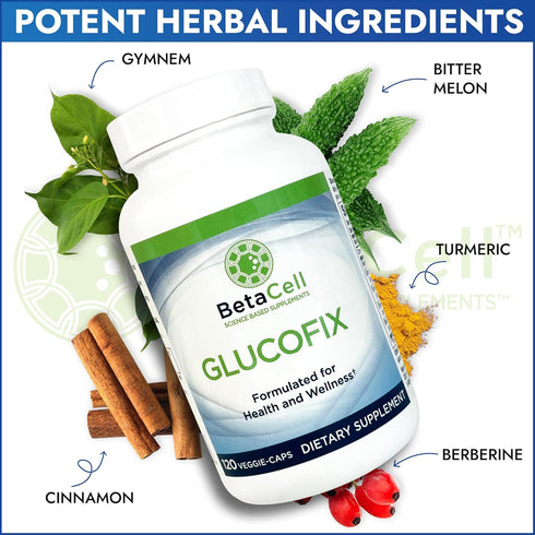 Glucofix - Berberine Herbal Supplement with Cinnamon, Gymnema, Bitter Melon, and Turmeric - 120 Capsules