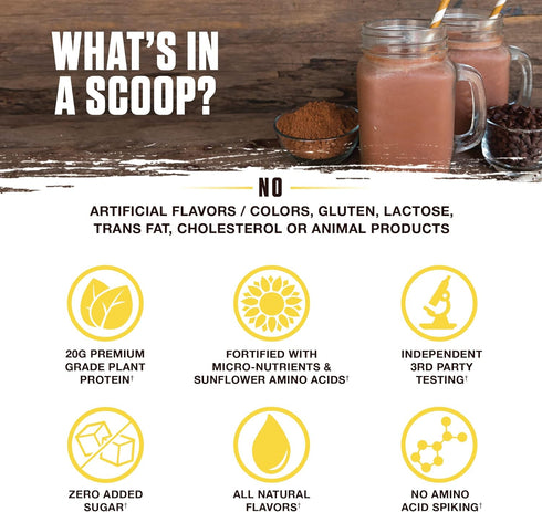 Ambrosia Planta Premium Organic Plant-Based Protein | Vegan & Keto Friendly | 14 Servings | Melted Chocolate