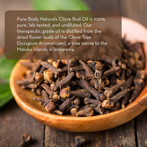Pure Body Naturals Clove Bud Essential Oil, 10 ml - Pure and Undiluted Therapeutic Grade for Aromatherapy Diffuser and Relief