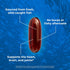 Fish Oil Supplements with Omega 3 Fatty Acids - 120 Softgels for Heart & Joint Health, Burpless Fish Oil