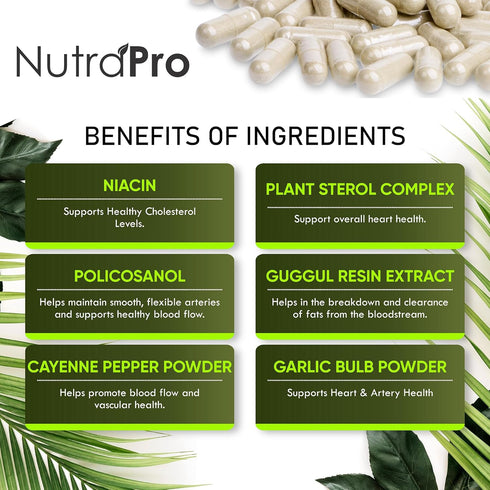 Heart Health Cholesterol Supplements - Cholesterol Health & Heart Support with Plant Sterols, Niacin & Garlic