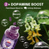 Gummies Gummies 500mg 200mg 60cts (1) Well&Whole Dopamine - Mucuna Pruriens Supplements with L-Tyrosine & Ashwagandh