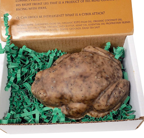 Stephen Frog Soap from WFG Waterfall Glen Soap Company, LLC, Bergamot with Coffee Scrub, Vegan Bath Soap with Shea