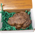 Stephen Frog Soap from WFG Waterfall Glen Soap Company, LLC, Bergamot with Coffee Scrub, Vegan Bath Soap with Shea