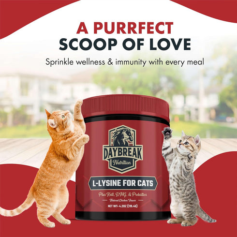 L-Lysine Powder Supplement for Cats & Kittens, 900 mg