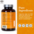 NEW NORDIC Turmeric Curcumin Gummies | Sugar Free | 300 mg Turmeric Supplement for Men and Women | 60 Count Supports