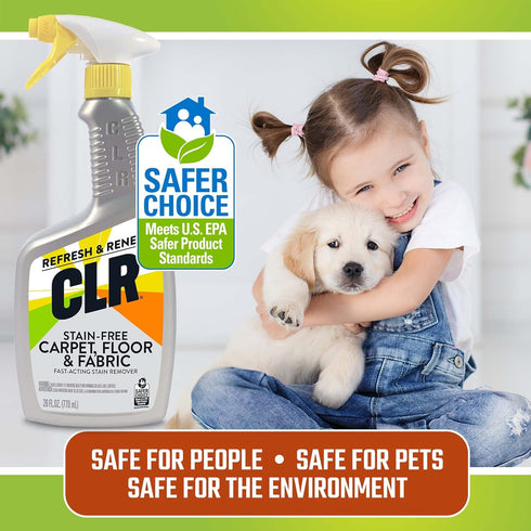 CLR Stain-Free Carpet, Floor & Fabric Stain Remover, 26 Ounce