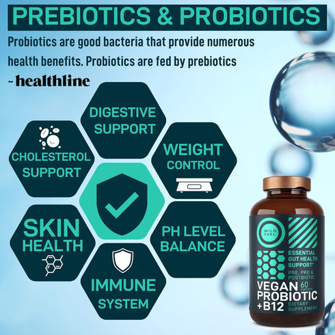 Vegan Probiotic Plus B12 - 22 Billion CFU Synbiotics for IBS, Digestive & Gut Health, Mood Support - 60 Gluten-Free