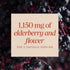 Immune 1,150 2-Capsule 100 Count Natures Way Black Elderberry Capsules, Traditional Support Supplement with Elderberry