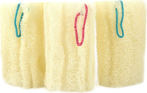 Egyptian Loofah Sponges - Natural Exfoliating Body Wash Gourd, Bath Sponges for Skincare (Pack of 3-6.5 in.)