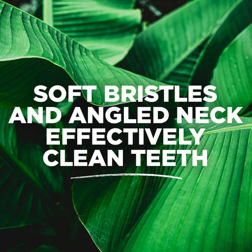 Soft Whole Care Toothbrush by Tom's of Maine