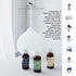 Soap & Paper Factory 1 oz Roland Pine Fragrance Oil
