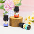 Set (20 Packs 5ml), Floral and Dessert Fragrance Oils, Holamay Scented Oils for Soap & Candle Making Scents
