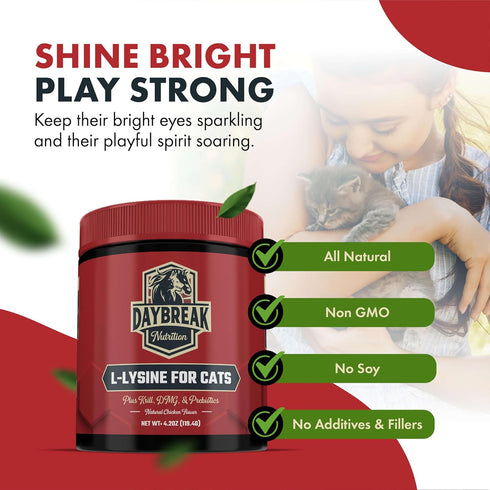 L-Lysine Powder Supplement for Cats & Kittens, 900 mg