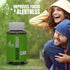 Matcha Organic Green Tea Energy Gummies with Vitamin B12, B3, and Antioxidant CoQ10 for Natural Energy Boost