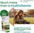 Omnes Complete Multivitamin - Natural Extracts, 12 Vitamins & Minerals, 60 Capsules