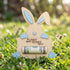 Set 2 of Easter Bunny Money Holders for Cash Gifts, Basket Stuffers for Kids, Toddlers, Baby Boy Girl, Cute Bunny Money
