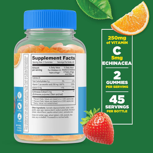 Lifeable Sugar Free Vitamin C for Kids – 250 mg – with Echinacea – Great Tasting Natural Flavor Gummy Supplement – Vegetarian GMO-Free Chewable Vitamin – for Immune Support – for Children – 90 Gummies