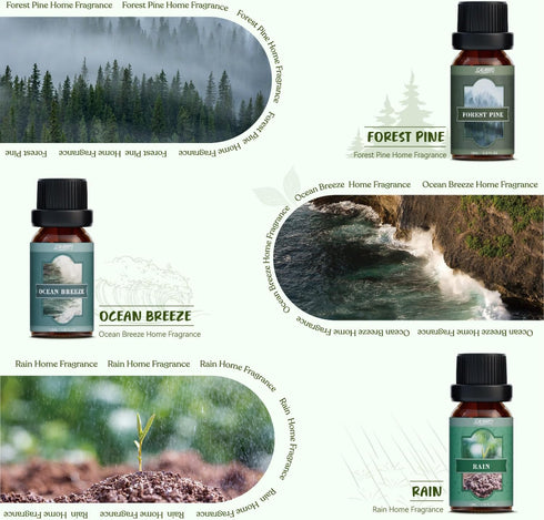 SALUBRITO Essential Oils Set - Nature Fragrance Oils Set for Diffuser, Candle, Soap Making - Forest Pine, Ocean Breeze