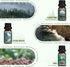 SALUBRITO Essential Oils Set - Nature Fragrance Oils Set for Diffuser, Candle, Soap Making - Forest Pine, Ocean Breeze