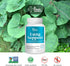 Lung Revive: Advanced Respiratory Support with Butterbur, Quercetin, & Vitamin C, Enhanced Breathing & Lung Detox