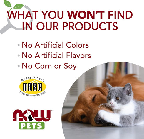 NOW Pet Health L-Lysine Supplement Powder for Cats, NASC Certified, 8-Ounce