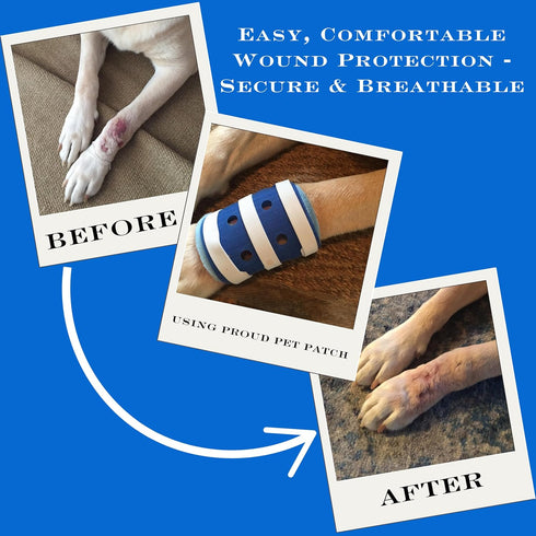 Proud Pet Patches Dog Bandage for Wound Care w/Peep Hole Cover. Bandages for Dog Hot Spots, Lick Granuloma, Stitches