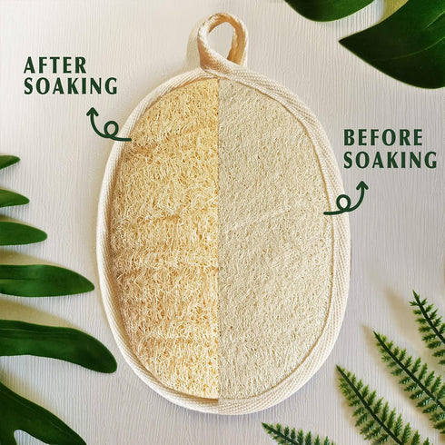 Natural Loofah Sponge Exfoliating Body Scrubber (3 Pack), Eco-Friendly Biodegradable Shower Luffa Sponge for Women and