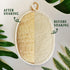 Natural Loofah Sponge Exfoliating Body Scrubber (3 Pack), Eco-Friendly Biodegradable Shower Luffa Sponge for Women and