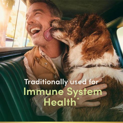 Immune 400mg, 100 Nature's Bounty Echinacea, Herbal Supplement, Supports Health, Capsules