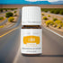 Young Living Lemon Vitality Essential Oil 5ml - 100% Pure Food-Grade Citrus Flavor Enhancer for Culinary Use