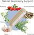 Immune Preservatives-100 Kroeger Herb, Lung Formula, Lung Support Supplement with Herbs, Respiratory and Support, Lung