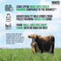 Naked Whey 1Lb - Grass Fed Whey Protein Powder, Undenatured, Gluten Free, 15 Servings