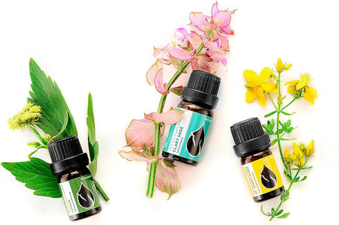 Essences Bulgaria Organic Clary Sage Essential Oil - 1/6 Fl Oz | 5ml | 100% Pure, Natural, Therapeutic Grade