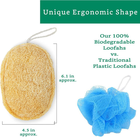 Natural Loofah Exfoliating Sponge (4 Pack) - Organic Biodegradable Body Scrubber