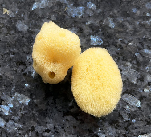 Real Natural Sea Sponges Multipack, 5pc Spa Gift Set for Bath Shower Facial Cleansing