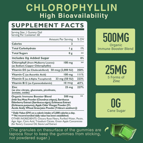 Sugar Free Chlorophyll Gummies with ACV, Sea Moss & Elderberry, Immune & Digestion Support, 2 Pack