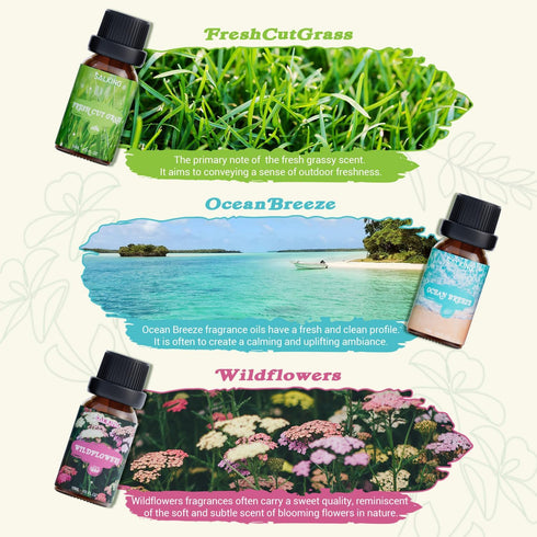 SALKING Nature Fragrance Oils, Premium Essential Oil for Diffuser, Gift Set for Soap Candle Making