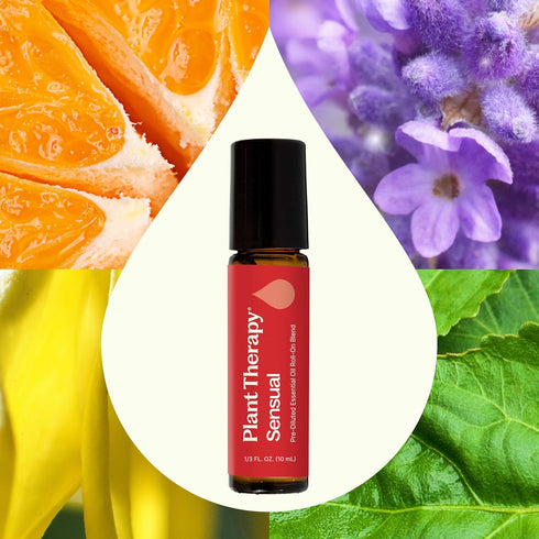 Plant Therapy Sensual Essential Oil Blend, 100% Pure, Pre-Diluted Roll-On, 10 mL (1/3 oz), Natural Aromatherapy