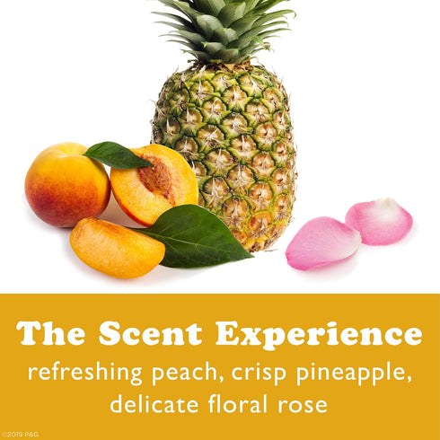Waterless Fragrance Mist Rose & Peach - 1.3 Oz, Sulfate-Free for All Hair Types