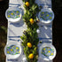 Ysqool 20 Summer Pcs Lemon Napkins, Blue and Yellow Tile Lemon Disposable Guest Towels, Fruit Napkins Decorative Paper