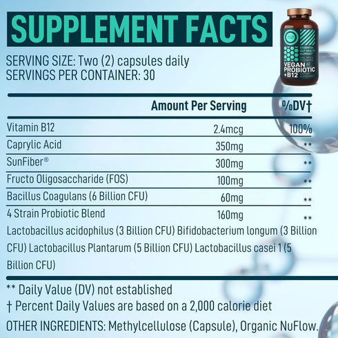 Vegan Probiotic Plus B12-22 Billion CFU Synbiotics Probiotics & Prebiotic for IBS, Digestive & Gut Health, Mood Support - B12 with FOS Pre Pro Post Biotics for Women & Men - 60 Gluten-Free Capsules