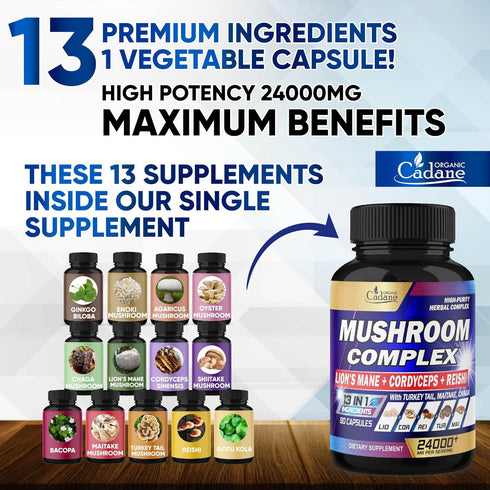 24000mg Mushroom Complex Supplements - 90 Capsules | 13in1 Concentrated with Lions Mane, Reishi, Turkey Tail